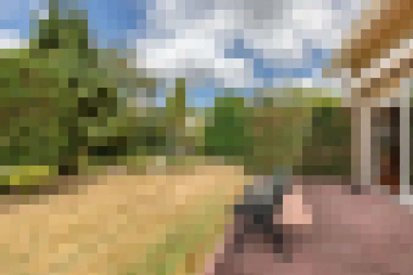 de Walestraat 2 Koudekerke thumbnail 31