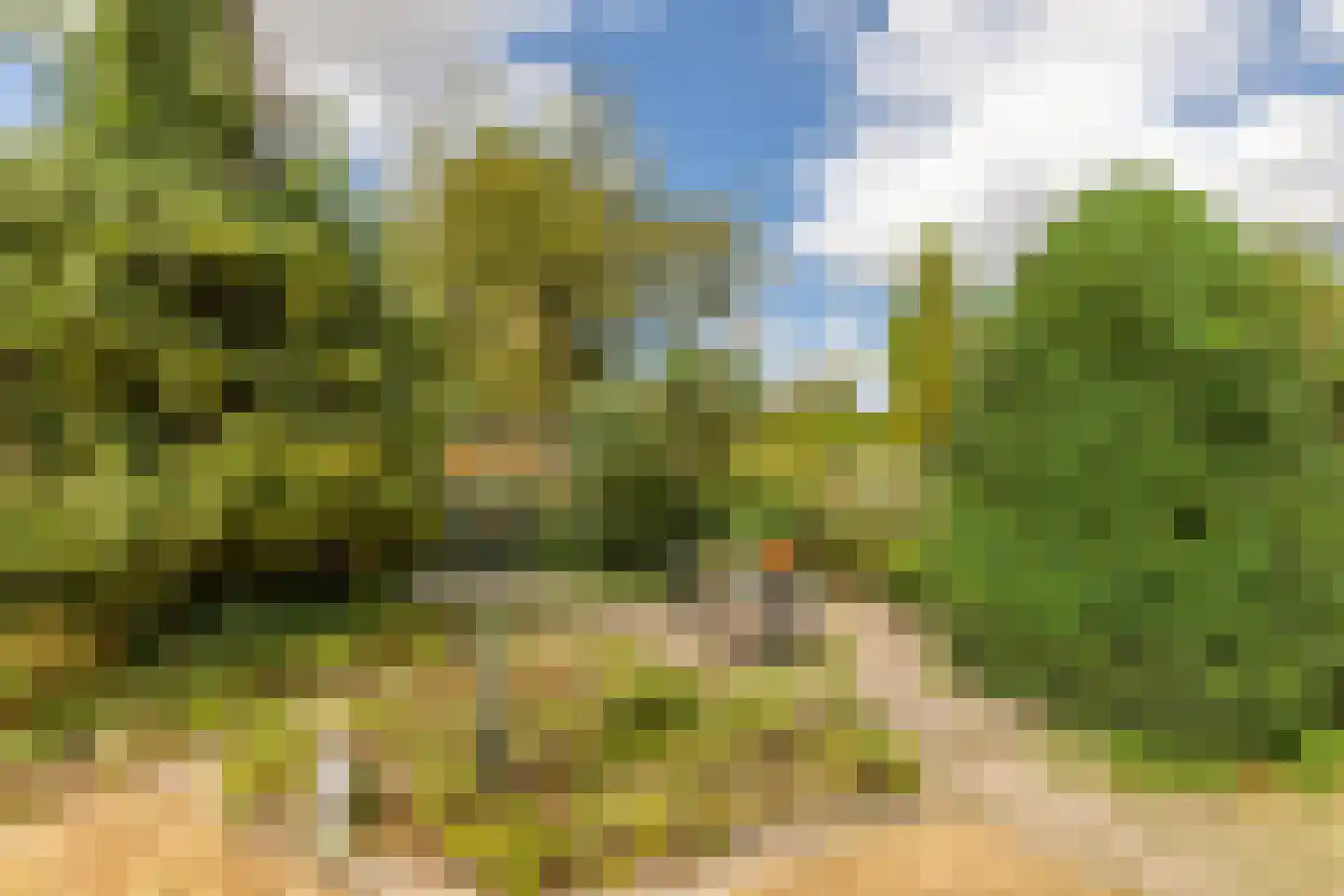 de Walestraat 2 Koudekerke thumbnail 33