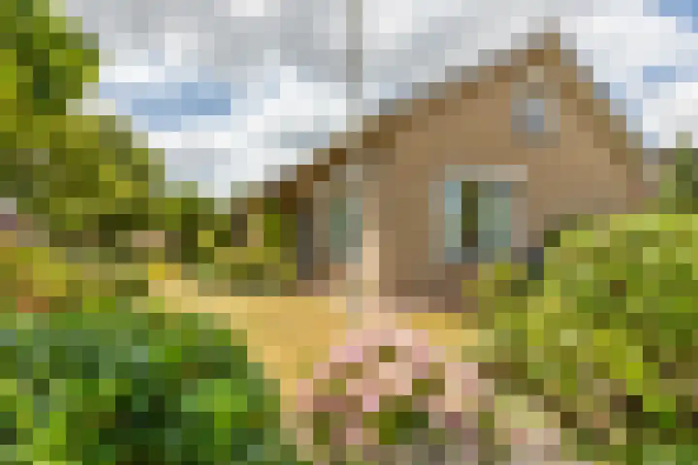 de Walestraat 2 Koudekerke thumbnail 38