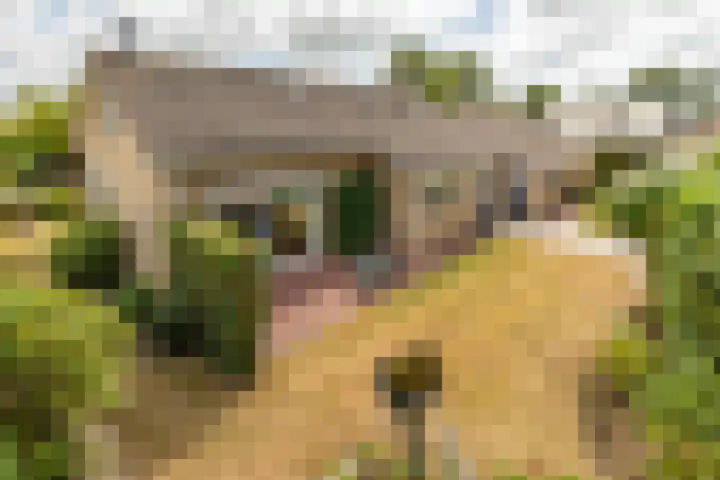 de Walestraat 2 Koudekerke thumbnail 4