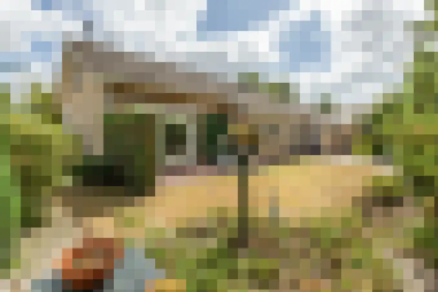 de Walestraat 2 Koudekerke thumbnail 5