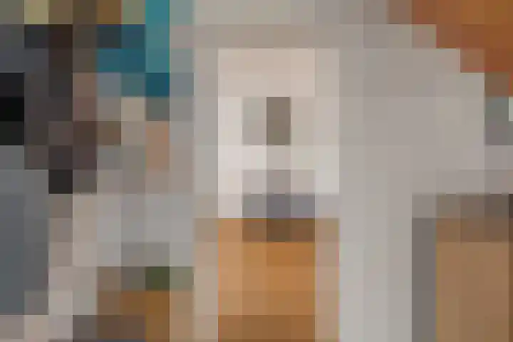 de Walestraat 20 Koudekerke thumbnail 12