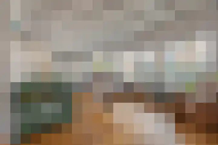 de Walestraat 20 Koudekerke thumbnail 14