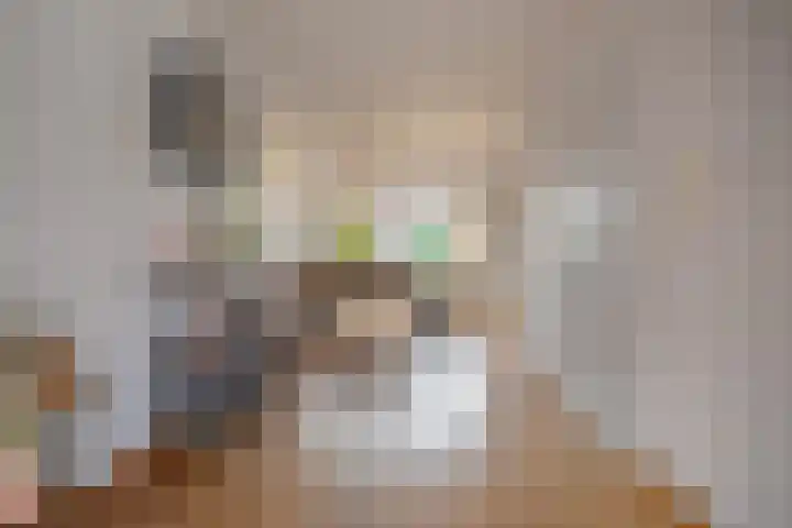 de Walestraat 20 Koudekerke thumbnail 20