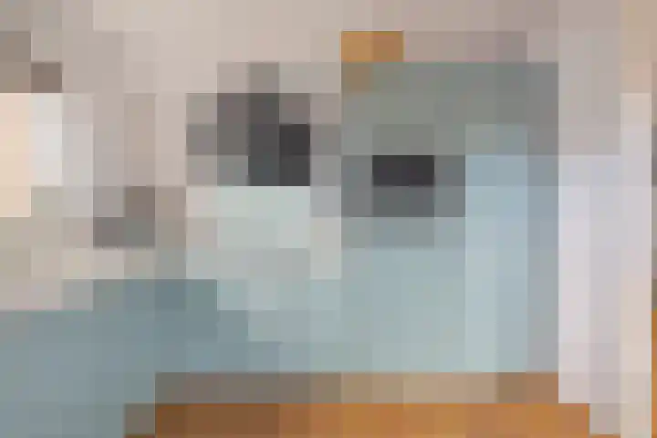 de Walestraat 20 Koudekerke thumbnail 25
