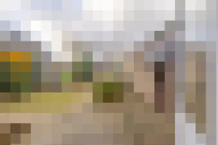de Walestraat 20 Koudekerke thumbnail 27