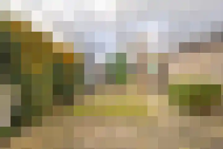 de Walestraat 20 Koudekerke thumbnail 29