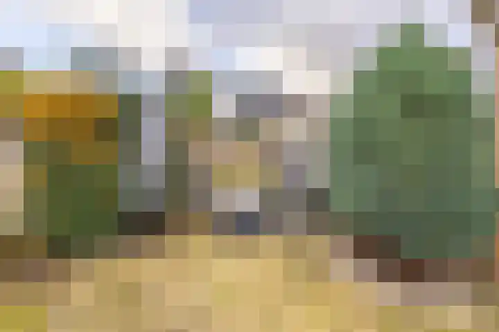 de Walestraat 20 Koudekerke thumbnail 30
