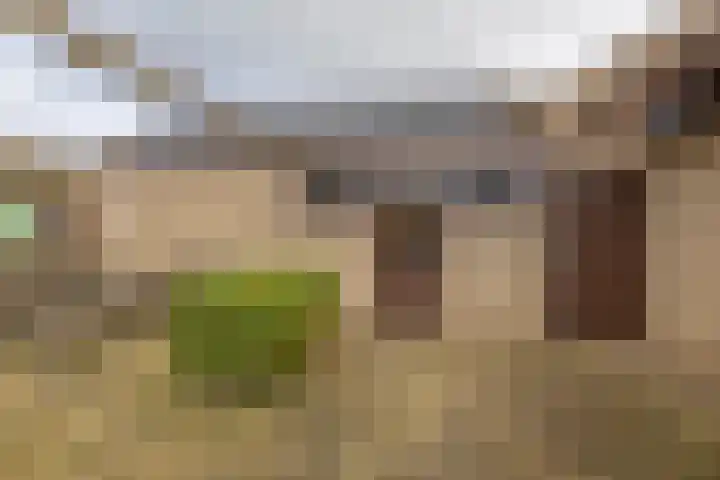 de Walestraat 20 Koudekerke thumbnail 32