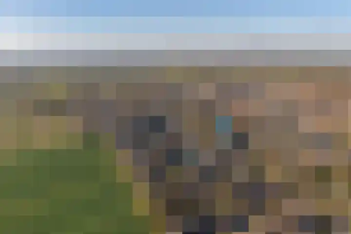 de Walestraat 20 Koudekerke thumbnail 4