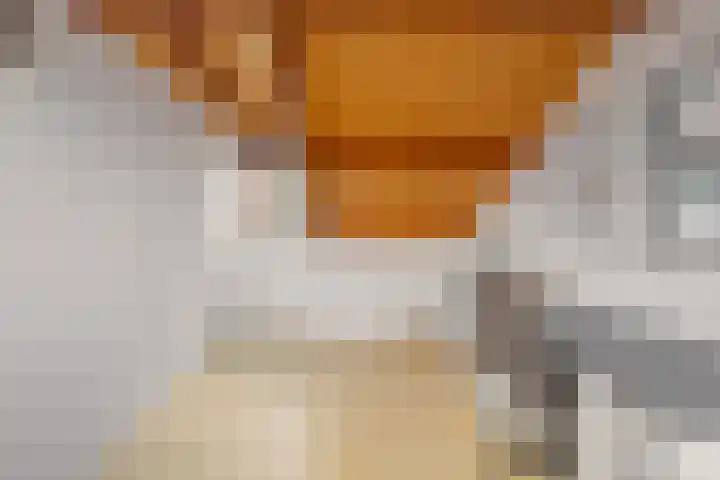 de Walestraat 20 Koudekerke thumbnail 56