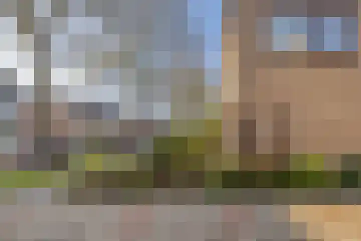 de Walestraat 20 Koudekerke thumbnail 6