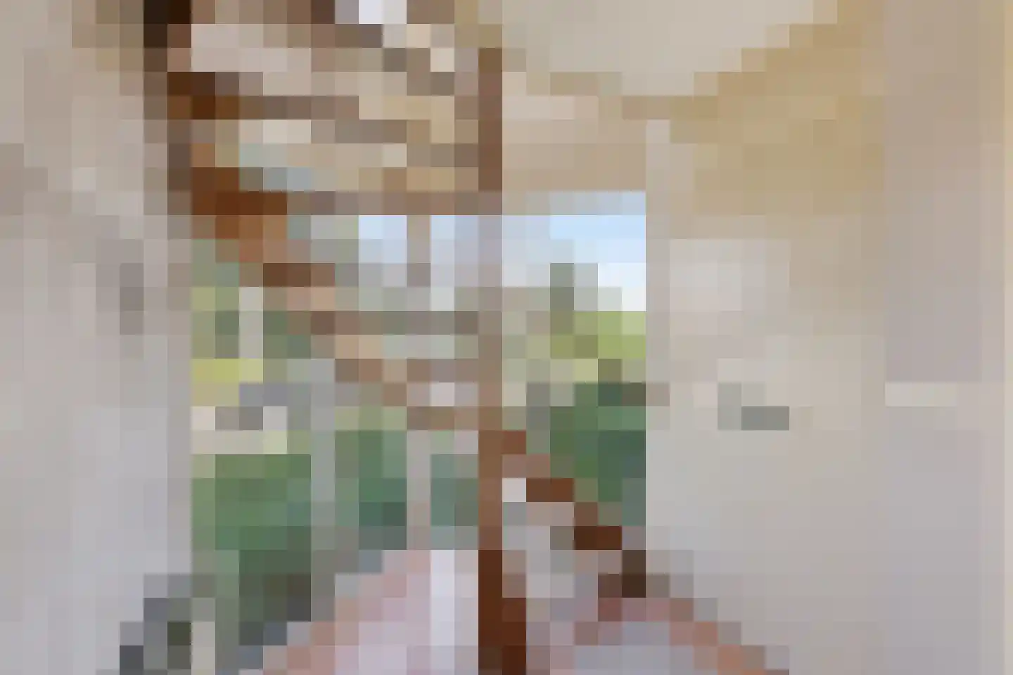 de Walestraat 51 Koudekerke thumbnail 11