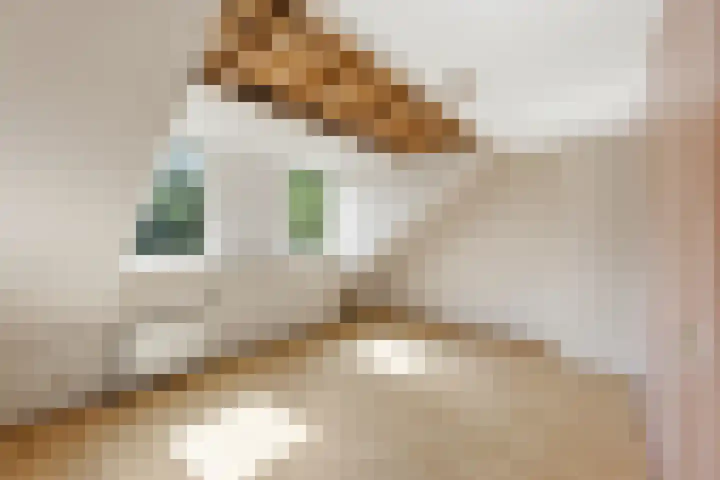 de Walestraat 51 Koudekerke thumbnail 14