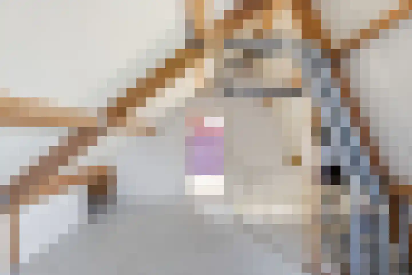 de Walestraat 51 Koudekerke thumbnail 24