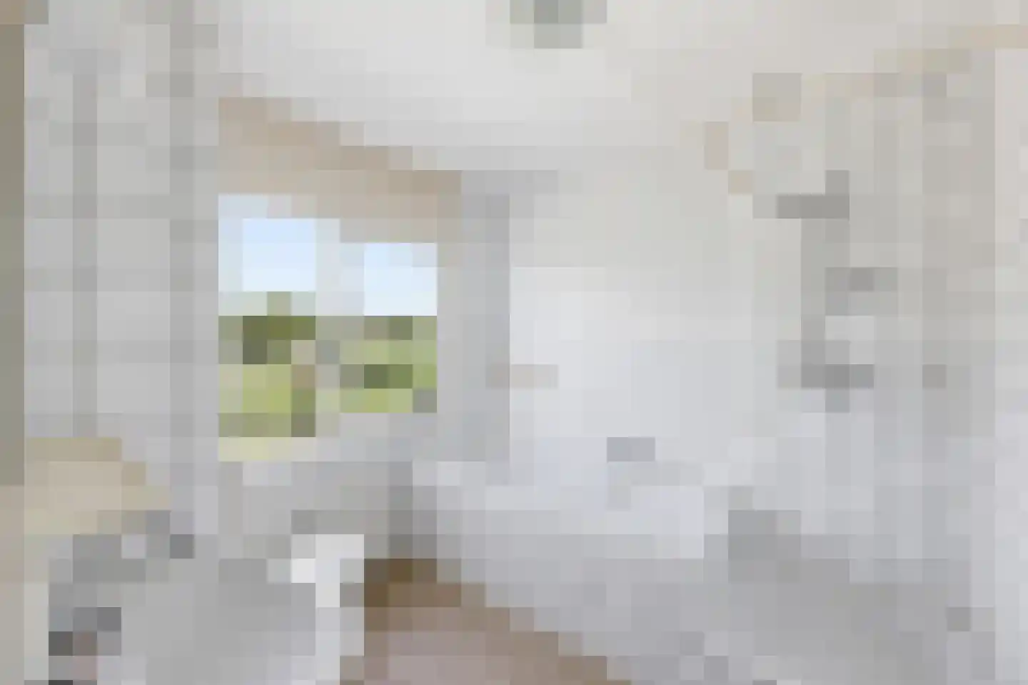 de Walestraat 51 Koudekerke thumbnail 4