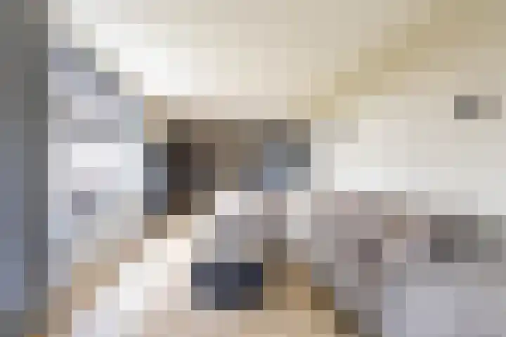 De Walle 5 Beetsterzwaag thumbnail 11