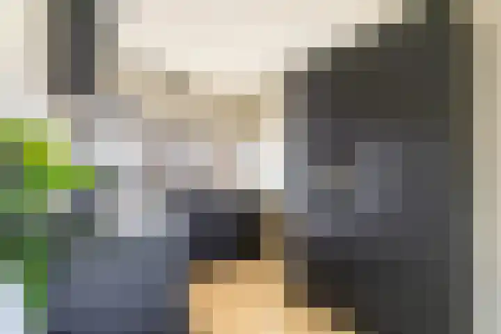 De Walle 5 Beetsterzwaag thumbnail 14