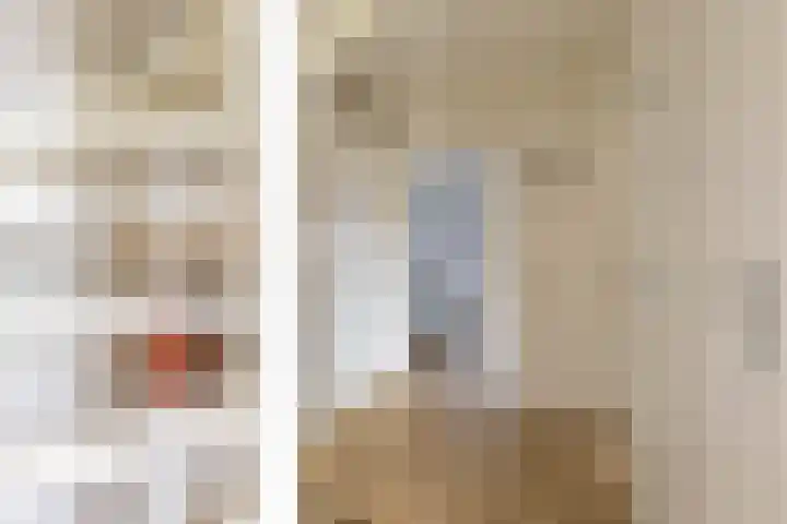 De Walle 5 Beetsterzwaag thumbnail 20