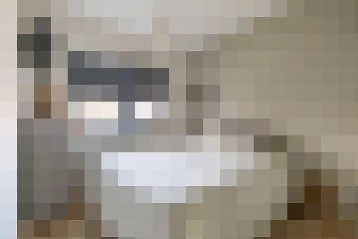 De Walle 5 Beetsterzwaag thumbnail 21