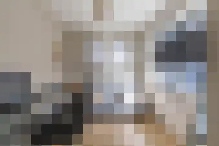 De Walle 5 Beetsterzwaag thumbnail 22