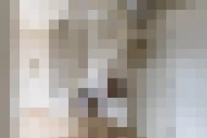 De Walle 5 Beetsterzwaag thumbnail 26