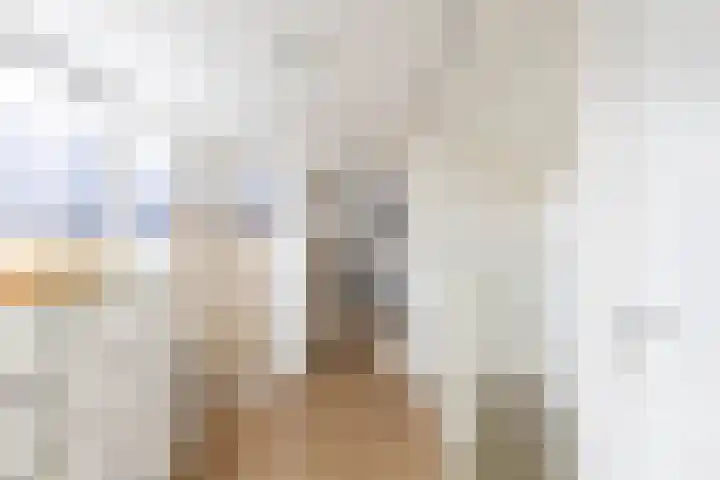 De Walle 5 Beetsterzwaag thumbnail 27
