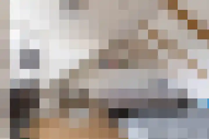De Walle 5 Beetsterzwaag thumbnail 28