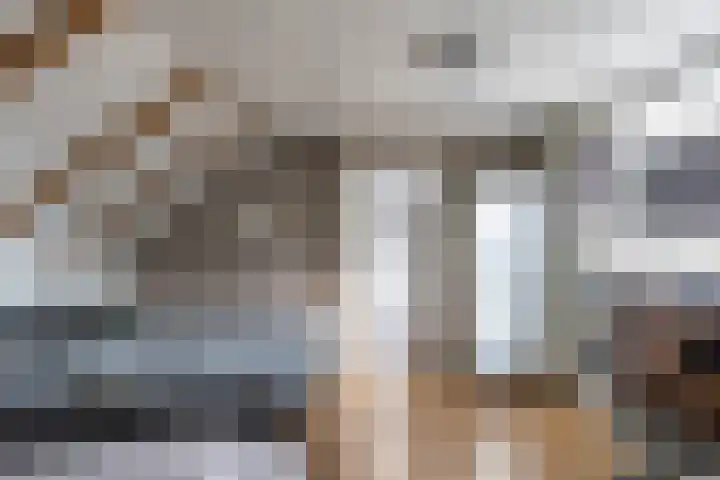 De Walle 5 Beetsterzwaag thumbnail 29