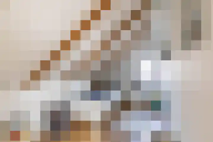 De Walle 5 Beetsterzwaag thumbnail 32