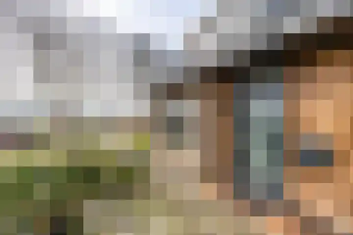 De Walle 5 Beetsterzwaag thumbnail 34