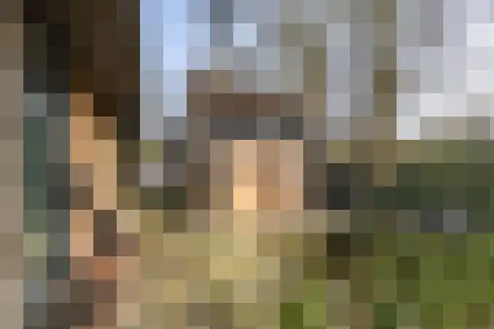 De Walle 5 Beetsterzwaag thumbnail 35