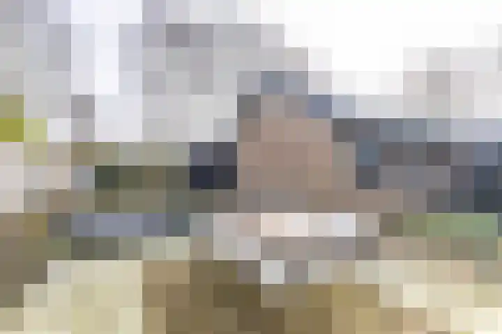 De Walle 5 Beetsterzwaag thumbnail 39