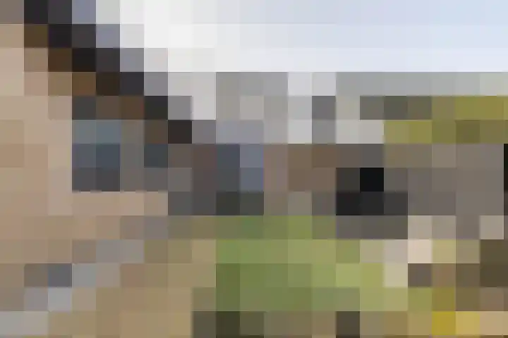 De Walle 5 Beetsterzwaag thumbnail 40