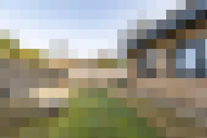De Walle 5 Beetsterzwaag thumbnail 42