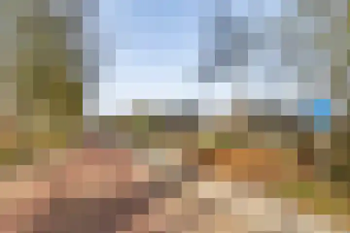 De Walle 5 Beetsterzwaag thumbnail 43