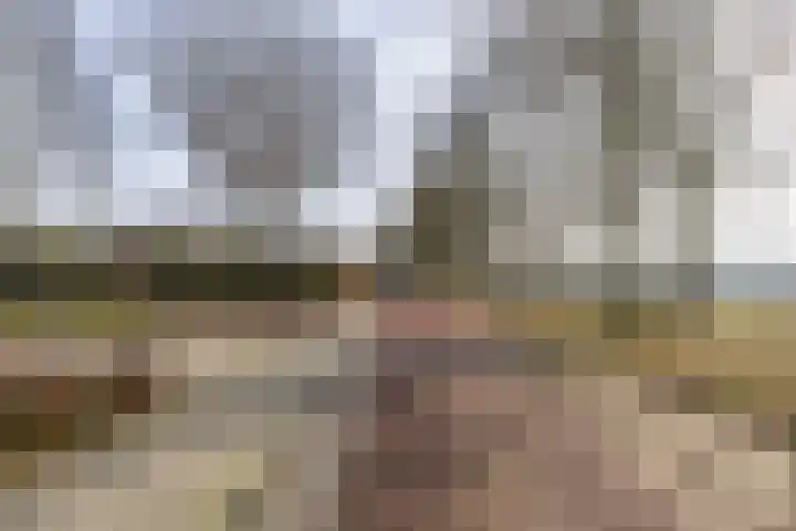 De Walle 5 Beetsterzwaag thumbnail 44