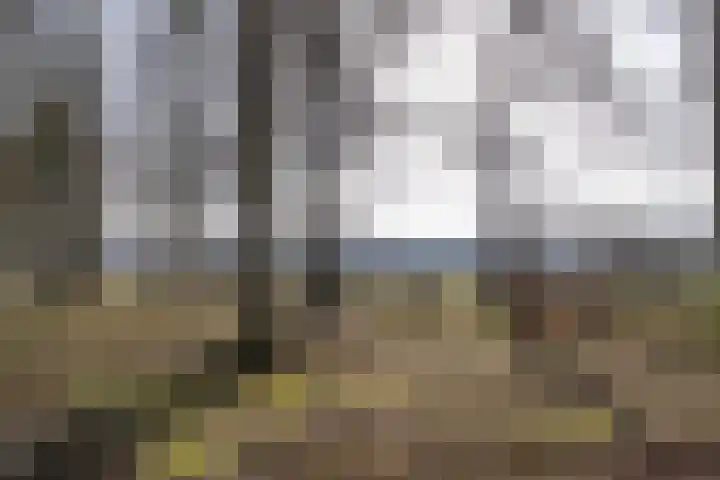 De Walle 5 Beetsterzwaag thumbnail 45