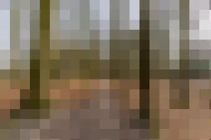 De Walle 5 Beetsterzwaag thumbnail 46