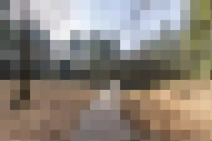 De Walle 5 Beetsterzwaag thumbnail 47