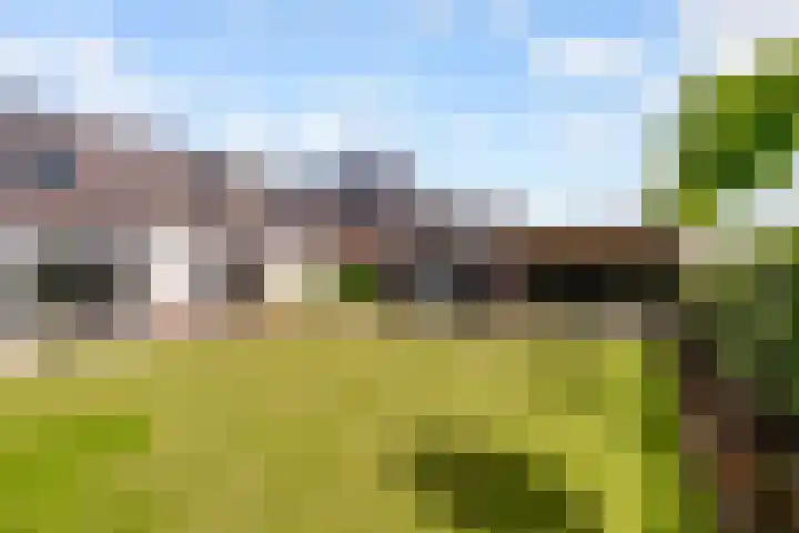 De Walvisch 28 Zeewolde thumbnail 4