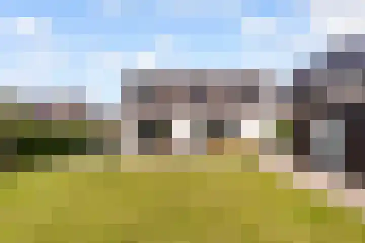 De Walvisch 28 Zeewolde thumbnail 45