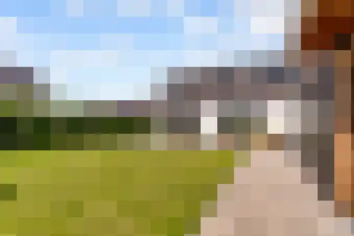 De Walvisch 28 Zeewolde thumbnail 47