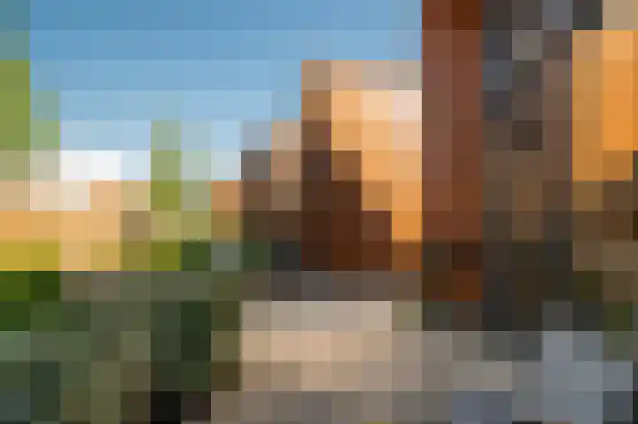 De Walvisch 64 Zeewolde thumbnail 29