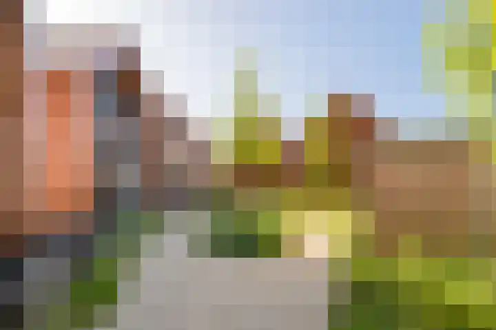De Walvisch 64 Zeewolde thumbnail 35