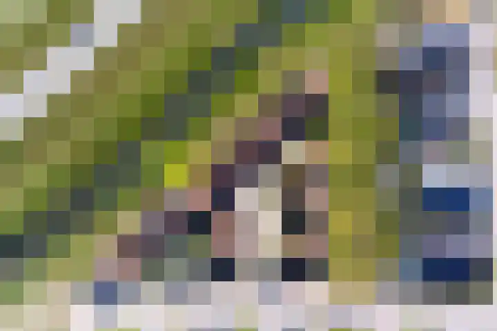 De Walvisch 64 Zeewolde thumbnail 38