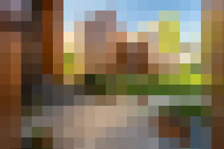 De Walvisch 64 Zeewolde thumbnail 5
