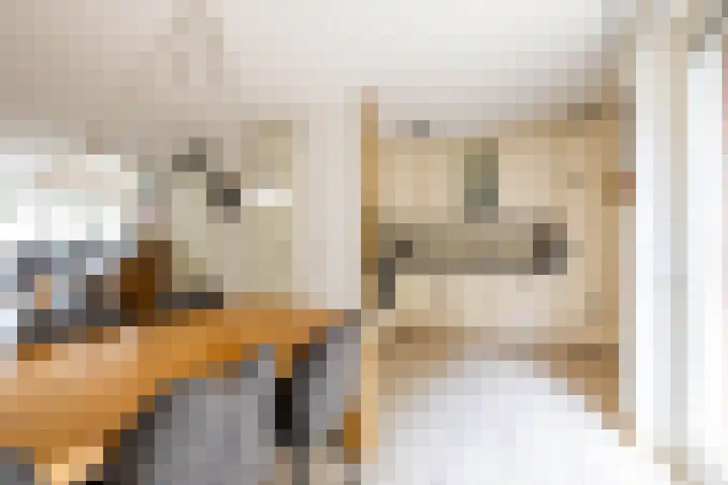 de Wam 12 Zuidlaren thumbnail 14