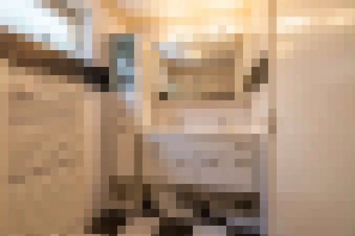 de Wam 12 Zuidlaren thumbnail 24