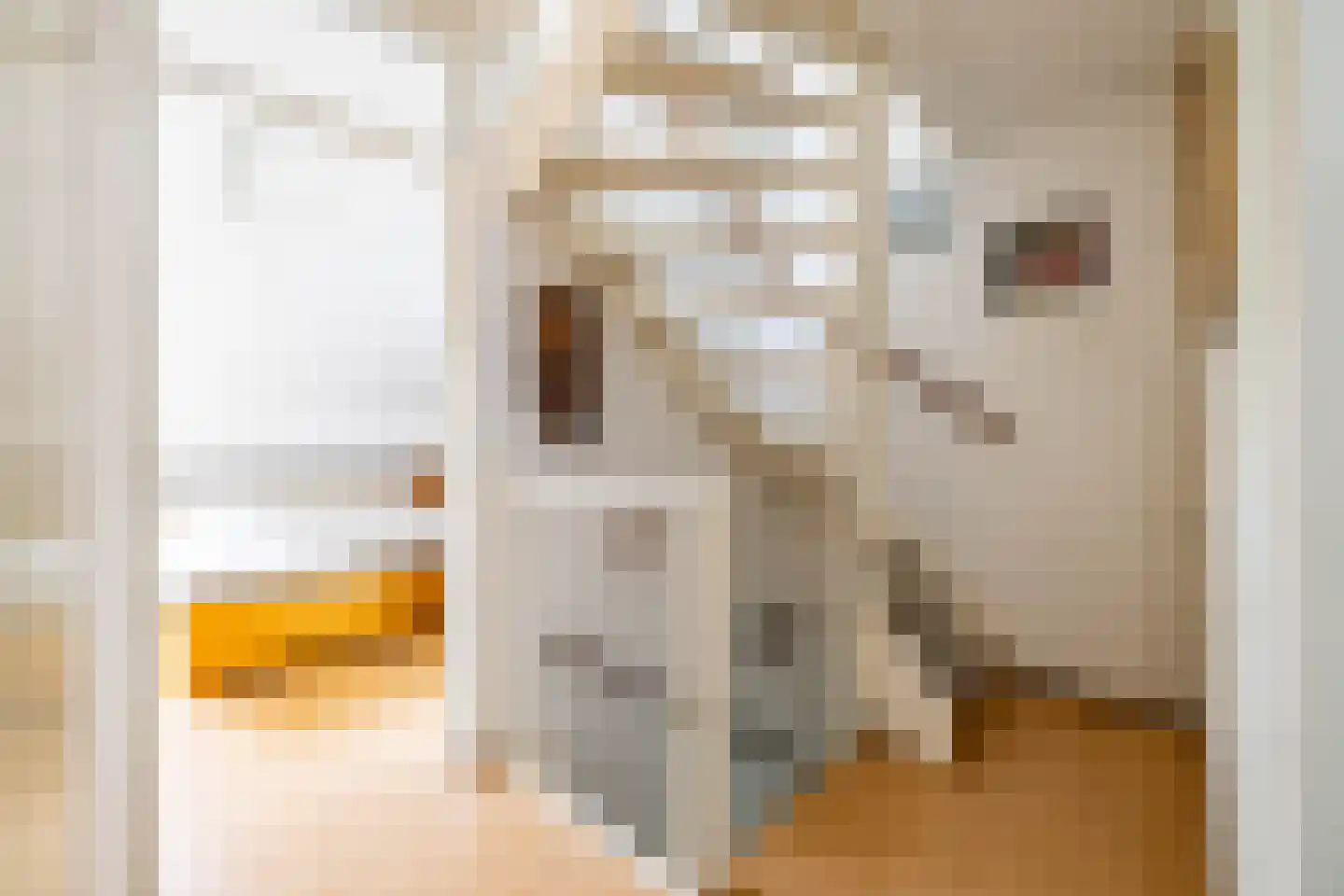 de Wam 12 Zuidlaren thumbnail 25